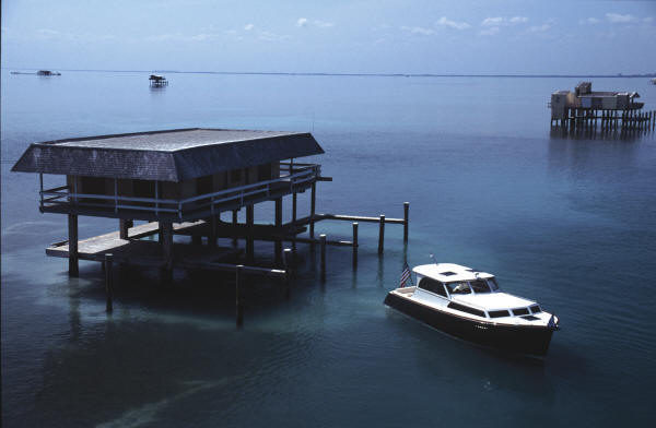 Prowler in Stiltsville
